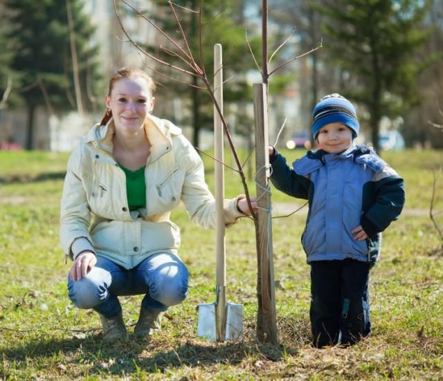 Little Diggers, Big Kid Benefits: The Joys of Family Gardening