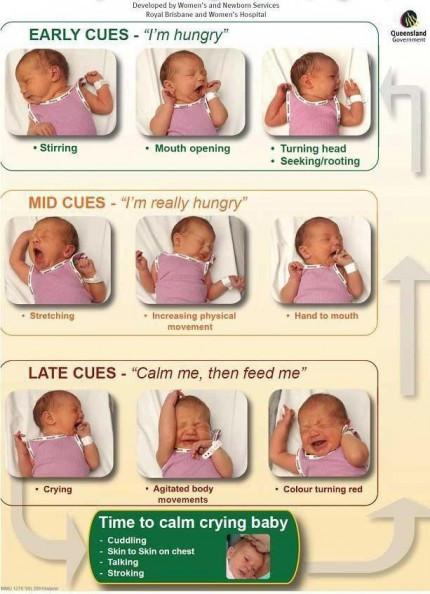 Your Baby's Breastfeeding Cues